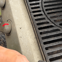 Piuma Candy APC GIF